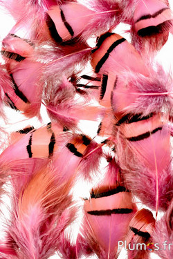 Patrijs - 3-7 cm - roze
